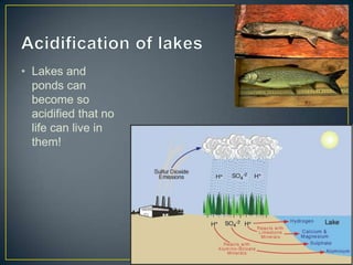 • Lakes and
ponds can
become so
acidified that no
life can live in
them!
 