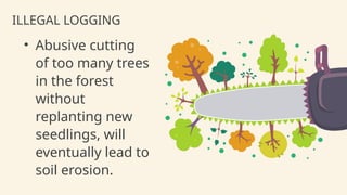 ILLEGAL LOGGING
• Abusive cutting
of too many trees
in the forest
without
replanting new
seedlings, will
eventually lead to
soil erosion.
 