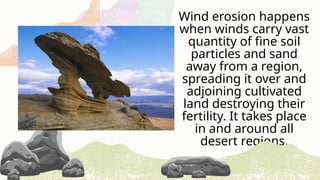 Wind erosion happens
when winds carry vast
quantity of fine soil
particles and sand
away from a region,
spreading it over and
adjoining cultivated
land destroying their
fertility. It takes place
in and around all
desert regions.
 