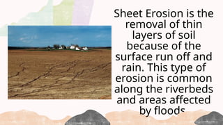 Sheet Erosion is the
removal of thin
layers of soil
because of the
surface run off and
rain. This type of
erosion is common
along the riverbeds
and areas affected
by floods.
 