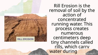 Rill Erosion is the
removal of soil by the
action of
concentrated
running water. This
process creates
numerous
centimeters deep
tiny channels called
rills, which carry
water during storms.
 