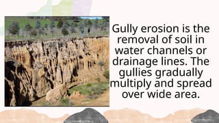 Gully erosion is the
removal of soil in
water channels or
drainage lines. The
gullies gradually
multiply and spread
over wide area.
 