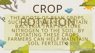 CROP
ROTATION
THE ROOTS OF BEAN CROPS,
SUCH AS SOYBEANS, CONTAIN
BACTERIA THAT RESTORE
NITROGEN TO THE SOIL. BY
ROTATING THESE CROPS,
FARMERS CAN HELP MAINTAIN
SOIL FERTILITY.
 