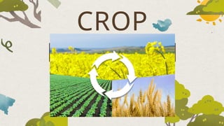 CROP
ROTATION
 
