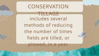 includes several
methods of reducing
the number of times
fields are tilled, or
plowed, in a year.
CONSERVATION
TILLAGE
 