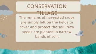 The remains of harvested crops
are simply left on the fields to
cover and protect the soil. New
seeds are planted in narrow
bands of soil.
CONSERVATION
TILLAGE
 