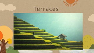 Terraces
 