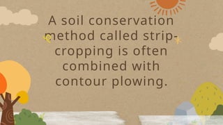 A soil conservation
method called strip-
cropping is often
combined with
contour plowing.
 