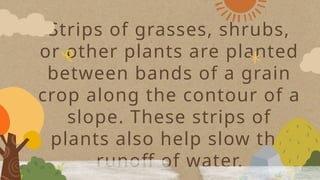 Strips of grasses, shrubs,
or other plants are planted
between bands of a grain
crop along the contour of a
slope. These strips of
plants also help slow the
runoff of water.
 