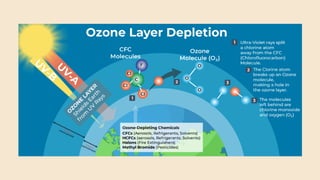 Ozone and its Depletion - Environmental Science | PDF