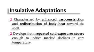 Insulative Adaptations
 Characterized by enhanced vasoconstriction
and redistribution of body heat toward the
shell.
 Develops from repeated cold exposures severe
enough to induce marked declines in core
temperature.
 