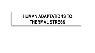 HUMAN ADAPTATIONS TO
THERMAL STRESS
 
