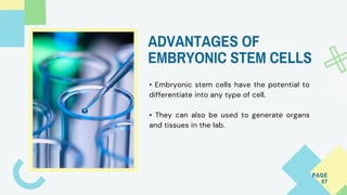 Human Adult Versus Embryonic Stem Cells | Dr David Greene R3 Stem Cell ...