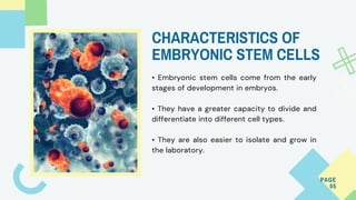 Human Adult Versus Embryonic Stem Cells | Dr David Greene R3 Stem Cell