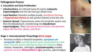 Winterbutton Sign Comprehensive Overview of Medical Protozoology and Entomology in ...