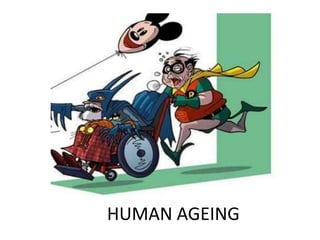 HUMAN AGEING

 