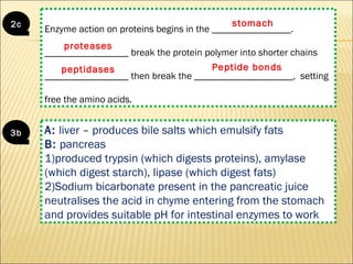 Grade 8 INTRA - Human Alimentary Canal | PPT