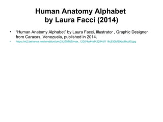 Human Anatomy Alphabet
by Laura Facci (2014)
• “Human Anatomy Alphabet” by Laura Facci, Illustrator , Graphic Designer
from Caracas, Venezuela, published in 2014.
• https://m2.behance.net/rendition/pm/21269885/max_1200/4a44ef42284df116c930bf99dc96cdf0.jpg
 