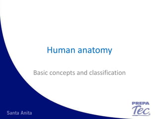 Human anatomy Basic concepts and classification 