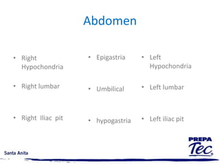 Anatomy vs. physiology Anatomy. Describe the different parts in the organism in the different levels Cell, tissue, organ system and organism.Physiology. Explain how the different elements in the body interact to be functional, and give life to the organisms