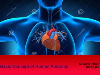 Basic Concept of Human Anatomy
Dr Sunil Pahari
MBBS,MS
 