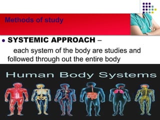 Human anatomy introduction Biology Diagrams