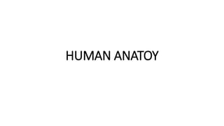 HUMAN ANATOY
 