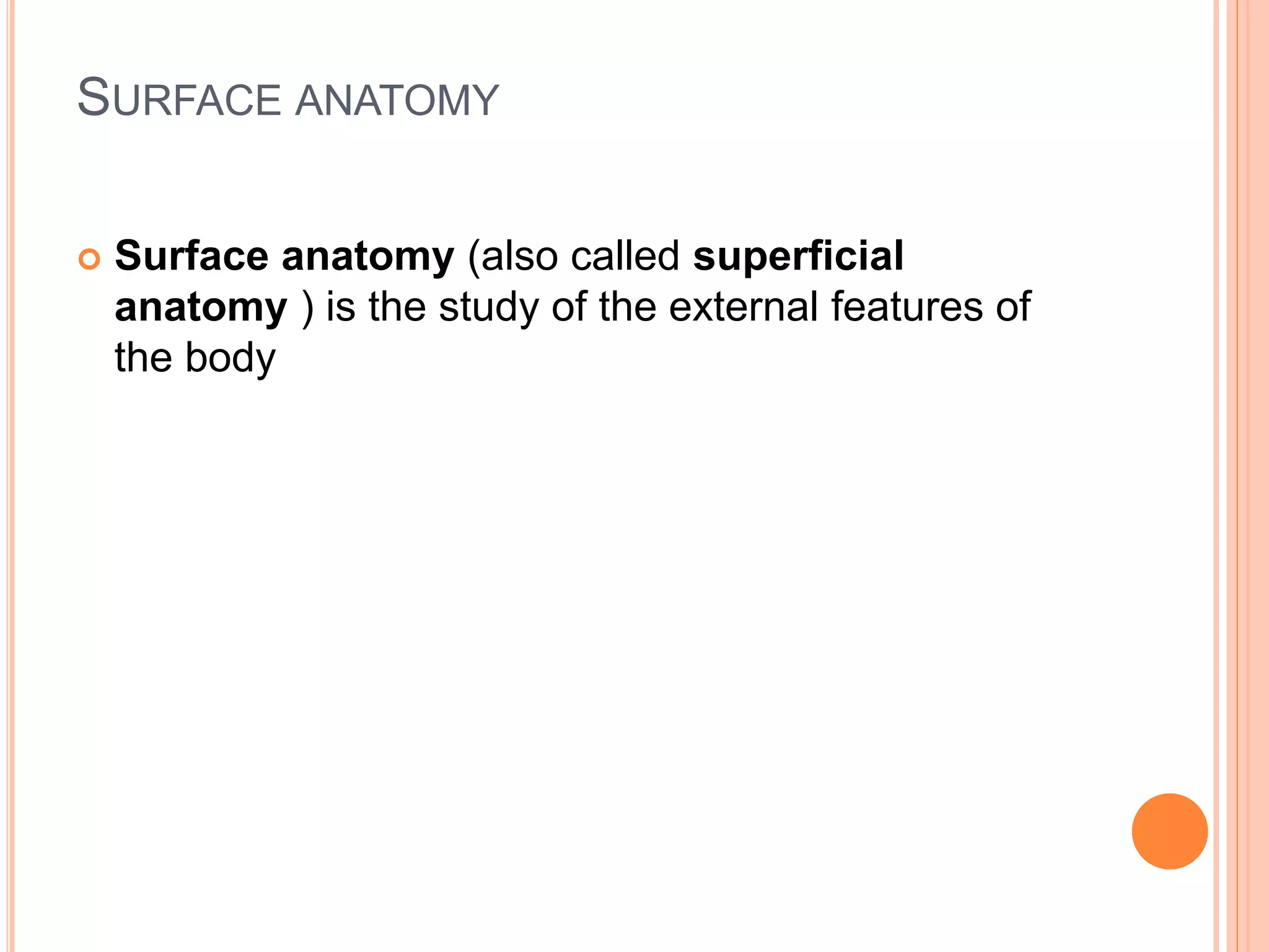 Human anatomy | PPTX