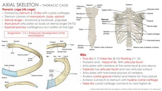 Human anatomy.pdf
