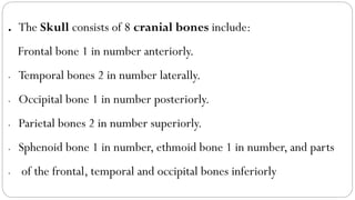 ■ The Skull consists of 8 cranial bones include:
Frontal bone 1 in number anteriorly.
• Temporal bones 2 in number laterally.
• Occipital bone 1 in number posteriorly.
• Parietal bones 2 in number superiorly.
• Sphenoid bone 1 in number, ethmoid bone 1 in number, and parts
• of the frontal, temporal and occipital bones inferiorly
 