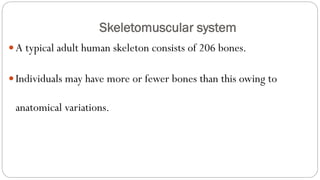 Skeletomuscular system
A typical adult human skeleton consists of 206 bones.
Individuals may have more or fewer bones than this owing to
anatomical variations.
 