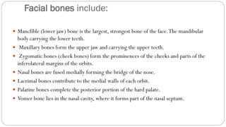 Facial bones include:
 Mancfible (lower jaw) bone is the largest, strongest bone of the face.The mandibular
body carrying the lower teeth.
 Maxillary bones form the upper jaw and carrying the upper teeth.
 Zygomatic bones (cheek bones) form the prominences of the cheeks and parts of the
inferolateral margins of the orbits.
 Nasal bones are fused medially forming the bridge of the nose.
 Lacrimal bones contribute to the medial walls of each orbit.
 Palatine bones complete the posterior portion of the hard palate.
 Vomer bone lies in the nasal cavity, where it forms part of the nasal septum.
 