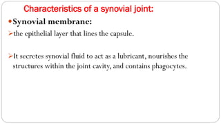 Characteristics of a synovial joint:
Synovial membrane:
➢the epithelial layer that lines the capsule.
➢It secretes synovial fluid to act as a lubricant, nourishes the
structures within the joint cavity, and contains phagocytes.
 