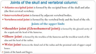 Joints of the skull and vertebral column:
 Atlanto-occipital joint is formed by the occipital bone of the skull and atlas
(the first cervical vertebra).
 Intervertebral joint is formed by adjacent vertebral bodies.
 Vertebrocostal joint is formed by the vertebral body and the head of the rib.
Joints of the upper limb:
Shoulder joint (Glenohumeral joint) is formed by the glenoid cavity of
the scapula and the head of the humerus.
Elbow joint is formed by the trochlea of the humerus and the trochlear notch of the
ulna and the head of the radius.
Wrist joint between the distal end of the radius and the proximal ends of upper carpal
bones.
 Joints of the hands and fingers
 