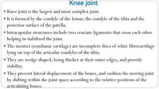 Knee joint
 Knee joint is the largest and most complex joint.
 It is formed by the condyle of the femur, the condyle of the tibia and the
posterior surface of the patella.
 Intracapsular structures include two cruciate ligaments that cross each other
helping in stabilized the joint.
 The menisci (semilunar cartilage) are incomplete discs of white fibrocartilage
lying on top of the articular condyles of the tibia.
 They are wedge shaped, being thicker at their outer edges, and provide
stability.
 They prevent lateral displacement of the bones, and cushion the moving joint
by shifting within the joint space according to the relative positions of the
articulating bones.
 