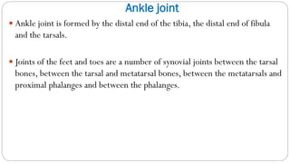 Ankle joint
 Ankle joint is formed by the distal end of the tibia, the distal end of fibula
and the tarsals.
 Joints of the feet and toes are a number of synovial joints between the tarsal
bones, between the tarsal and metatarsal bones, between the metatarsals and
proximal phalanges and between the phalanges.
 