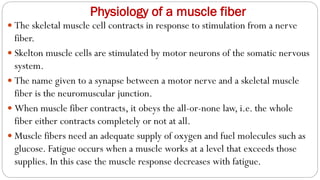 Physiology of a muscle fiber
 The skeletal muscle cell contracts in response to stimulation from a nerve
fiber.
 Skelton muscle cells are stimulated by motor neurons of the somatic nervous
system.
 The name given to a synapse between a motor nerve and a skeletal muscle
fiber is the neuromuscular junction.
 When muscle fiber contracts, it obeys the all-or-none law, i.e. the whole
fiber either contracts completely or not at all.
 Muscle fibers need an adequate supply of oxygen and fuel molecules such as
glucose. Fatigue occurs when a muscle works at a level that exceeds those
supplies. In this case the muscle response decreases with fatigue.
 