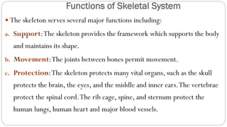 Functions of Skeletal System
 The skeleton serves several major functions including:
a. Support:The skeleton provides the framework which supports the body
and maintains its shape.
b. Movement:The joints between bones permit movement.
c. Protection:The skeleton protects many vital organs, such as the skull
protects the brain, the eyes, and the middle and inner ears.The vertebrae
protect the spinal cord.The rib cage, spine, and sternum protect the
human lungs, human heart and major blood vessels.
 