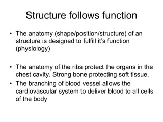 Human Anatomy (Anatomy and Physiology A) | PDF