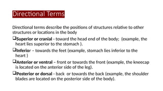 HUMAN ANATOMY 1 For Medical Students.pptx