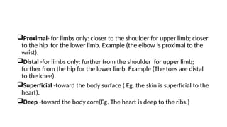 HUMAN ANATOMY 1 For Medical Students.pptx