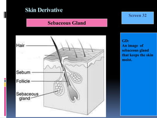 Sebatical Image Human anatomy for class IX | PPTX