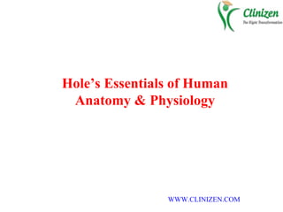 Hole’s Essentials of Human
Anatomy & Physiology
WWW.CLINIZEN.COM
 