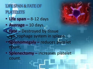 LIFE SPAN & FATE OF
PLATELETS
• Life span – 8-12 days
• Average – 10 days.
• Fate – Destroyed by tissue
macrophage system in spleen.
• Splenomegaly – reduces platelet
count.
• Splenectomy – increases platelet
count.
 