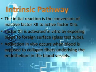 • The initial reaction is the conversion of
inactive factor XII to active factor XIIa.
• Factor XII is activated in vitro by exposing
blood to foreign surface (glass test tube).
• Activation in vivo occurs when blood is
exposed to collagen fibers underlying the
endothelium in the blood vessels.
 