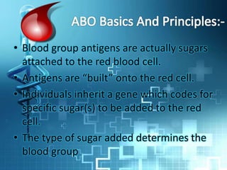 • Blood group antigens are actually sugars
attached to the red blood cell.
• Antigens are “built” onto the red cell.
• Individuals inherit a gene which codes for
specific sugar(s) to be added to the red
cell.
• The type of sugar added determines the
blood group
 