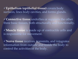 Epithelium (epithelial tissue) covers body
surfaces, lines body cavities, and forms glands.
Connective tissue underlies or supports the other
three basic tissues, both structurally and functionally.
Muscle tissue is made up of contractile cells and
is responsible for movement.
Nerve tissue receives, transmits, and integrates
information from outside and inside the body to
control the activities of the body.
 