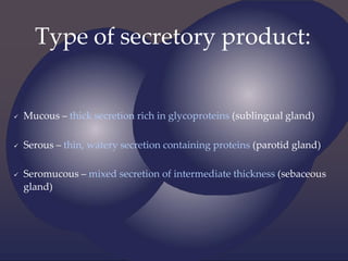 Type of secretory product:
 Mucous – thick secretion rich in glycoproteins (sublingual gland)
 Serous – thin, watery secretion containing proteins (parotid gland)
 Seromucous – mixed secretion of intermediate thickness (sebaceous
gland)
 