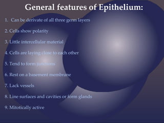 General features of Epithelium:
1. Can be derivate of all three germ layers
2. Cells show polarity
3. Little intercellular material
4. Cells are laying close to each other
5. Tend to form junctions
6. Rest on a basement membrane
7. Lack vessels
8. Line surfaces and cavities or form glands
9. Mitotically active
 