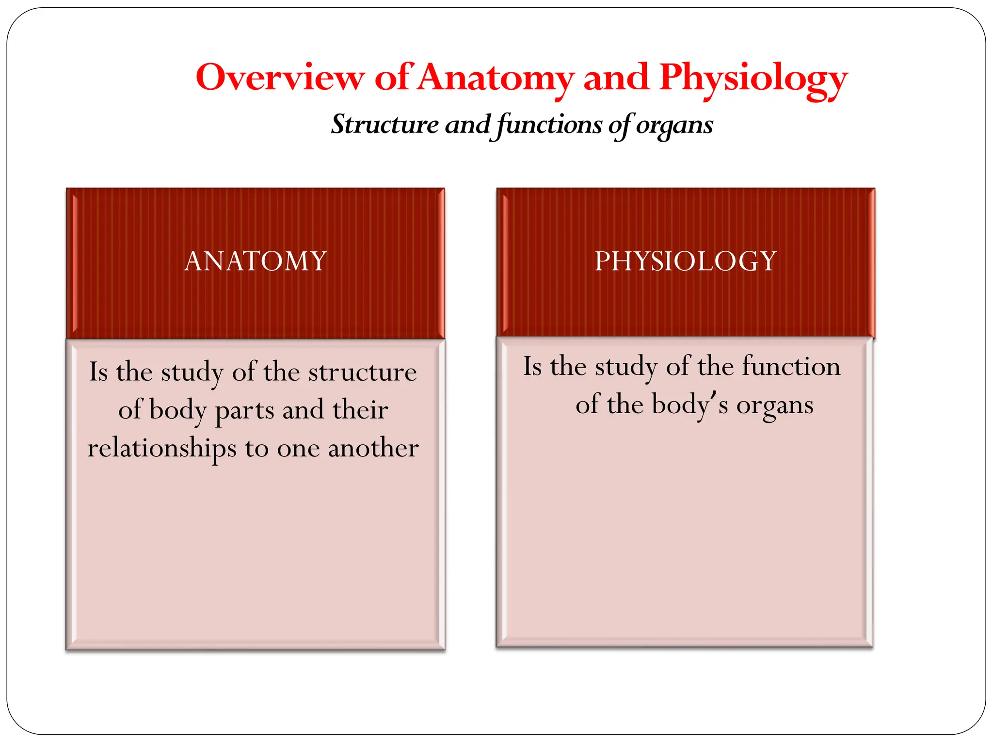 Human Anatomy and Physiology-Introduction.pdf